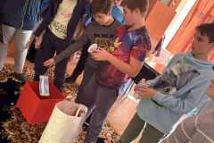 577047264_2684828708564812_7401239638256298028_n