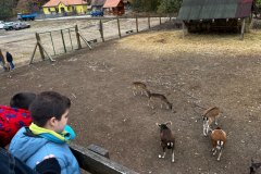 received_1098436422894294