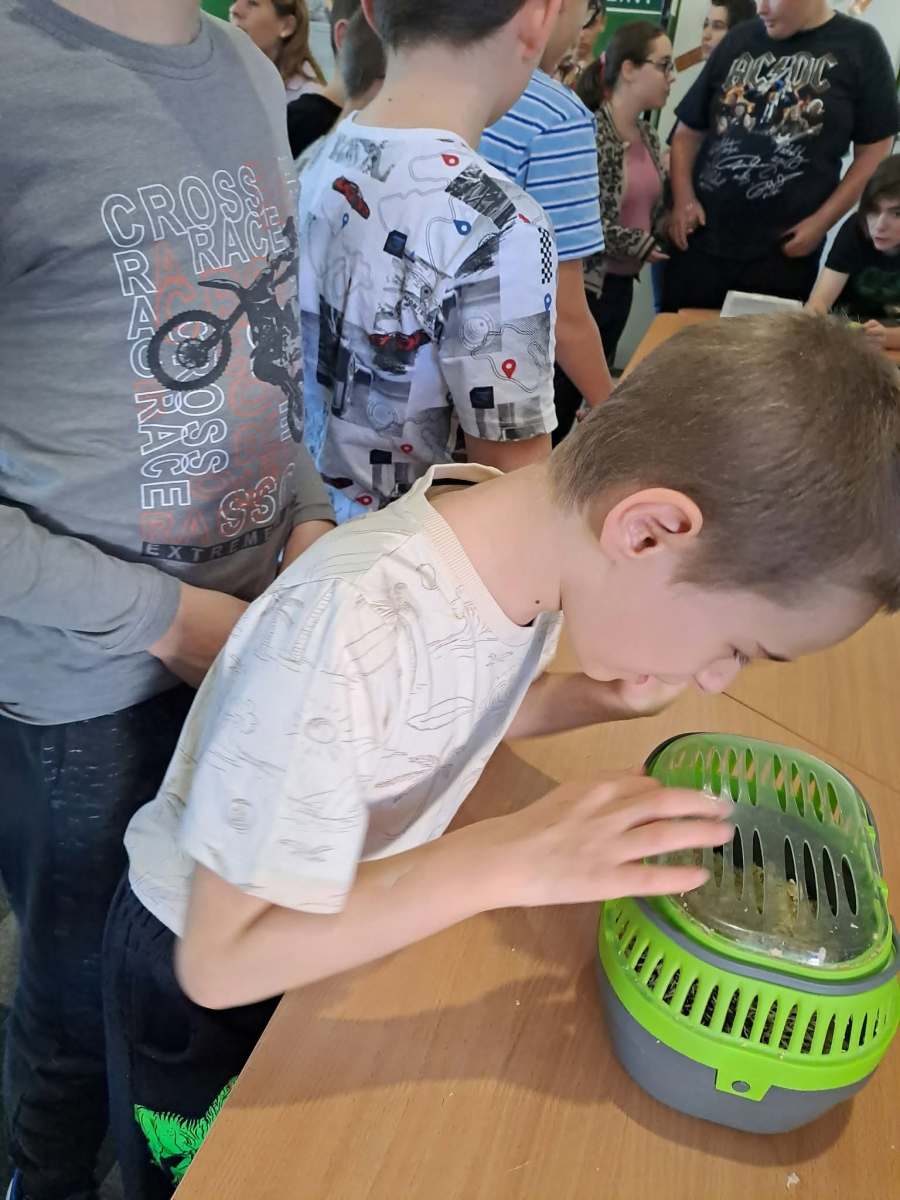 828909977_1070304182544682_8599527647957570537_n