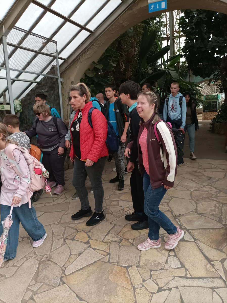 IMG_20260922_112152
