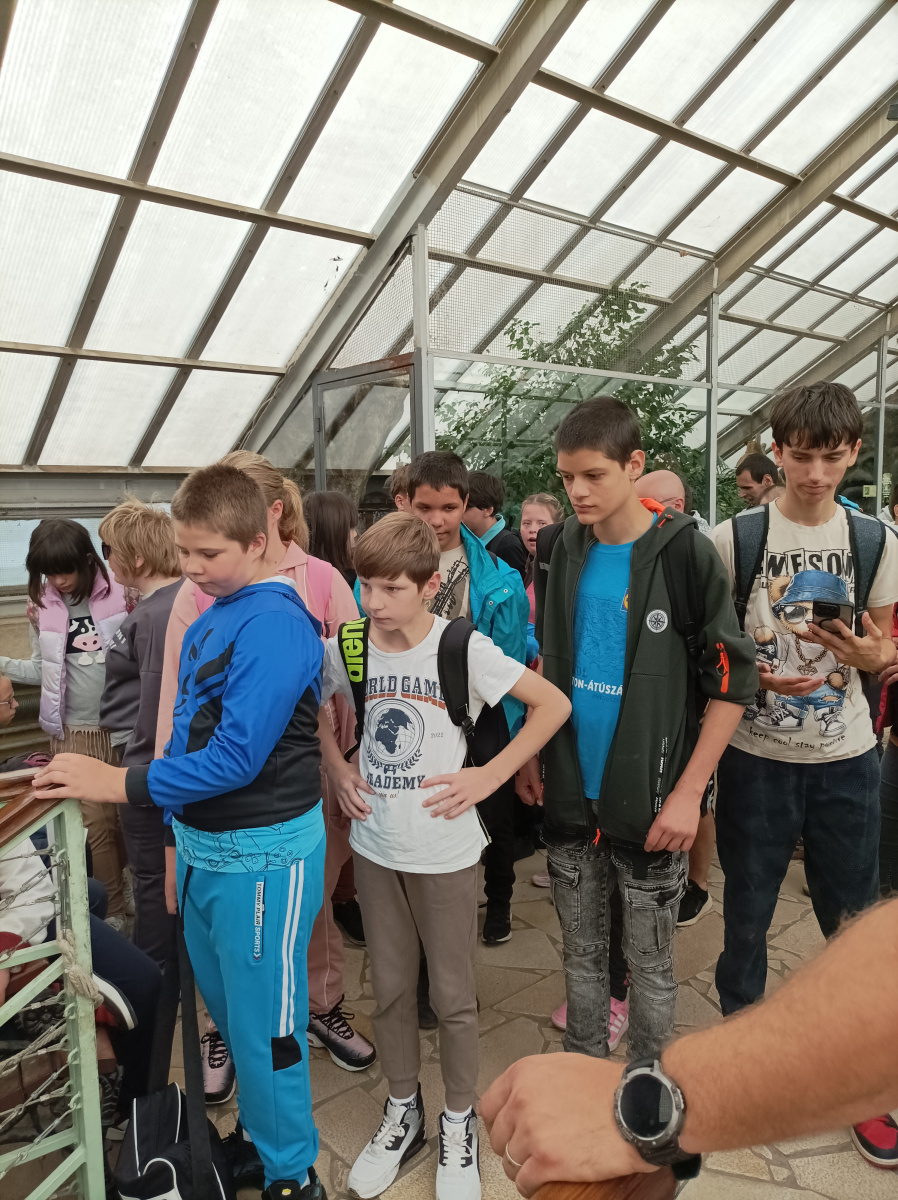 IMG_20260922_112256