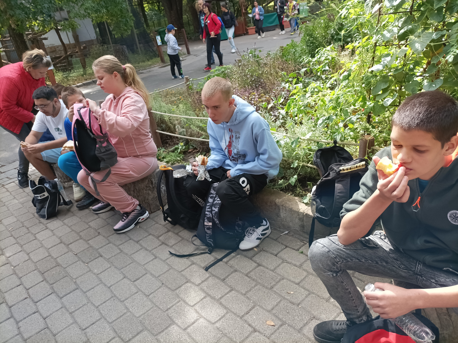IMG_20260922_123659