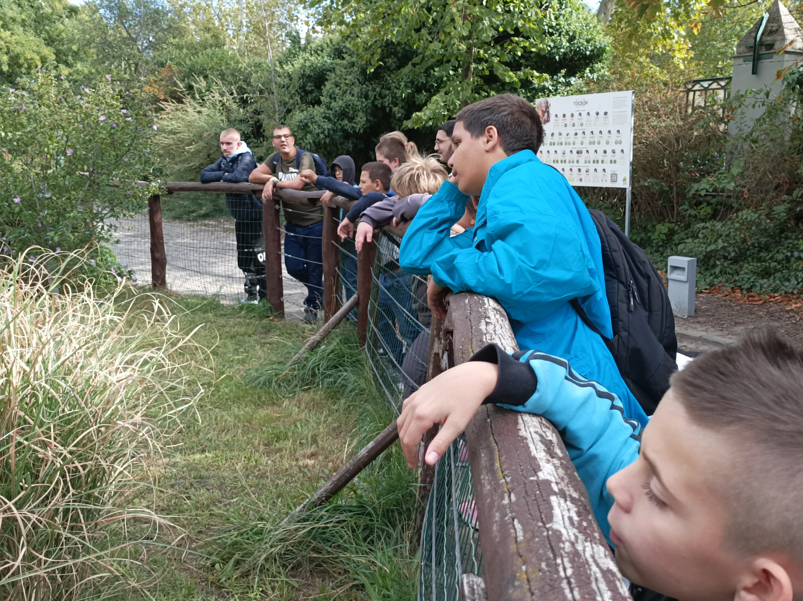 IMG_20260922_141237