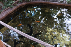 IMG_20260922_110722