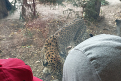 IMG_20260922_130049