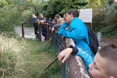 IMG_20260922_141237