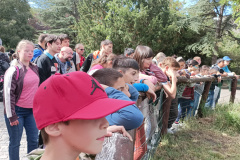 IMG_20260922_141244