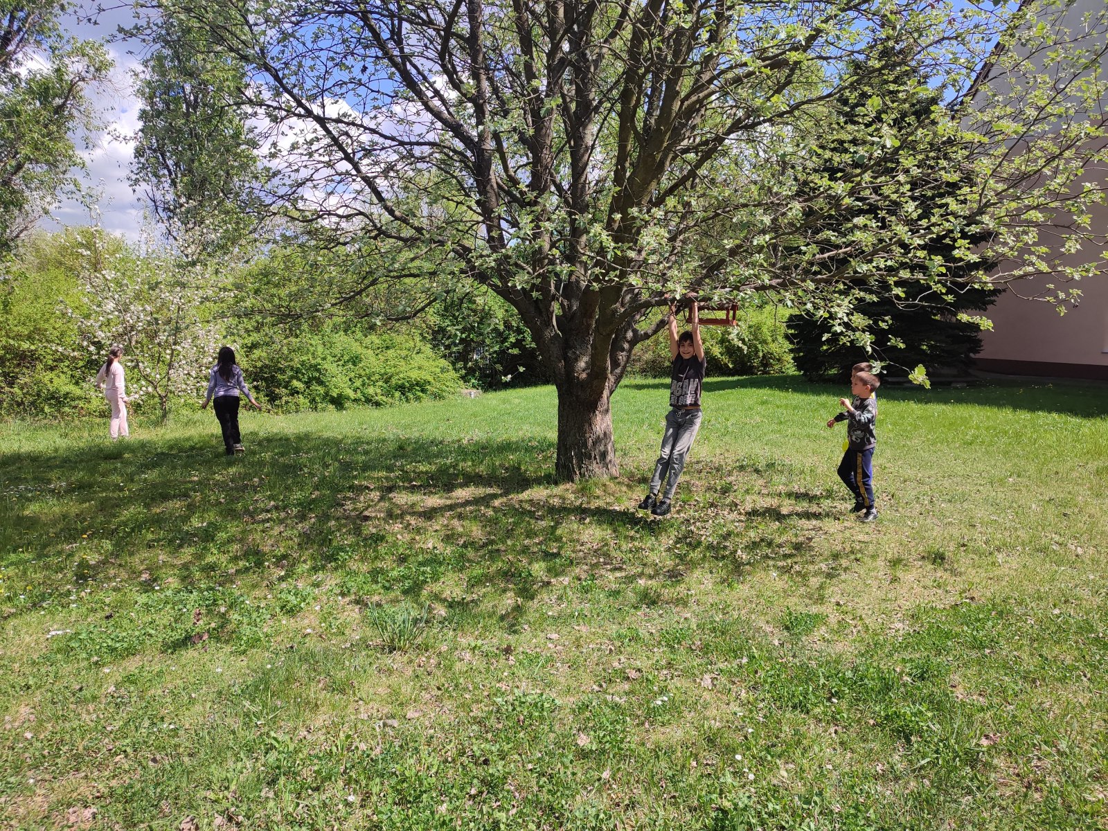IMG_20260420_131509