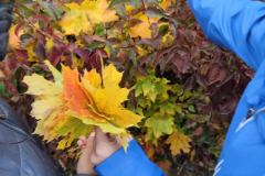 IMG_20251017_120147