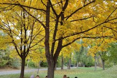 IMG_20251017_120654