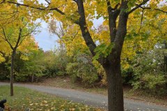IMG_20251017_121220