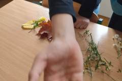 IMG_20251013_132732