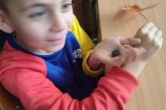 IMG_20251013_132746