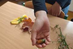 IMG_20251013_132800