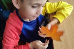 IMG_20251013_132845