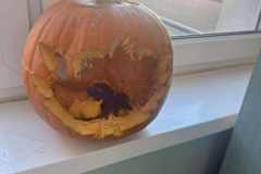 566066391_1136793561932067_2386269567986118699_n