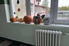 566463503_1305368174148515_4593096157877344117_n