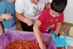 566513611_1286947360112495_7116561833605700645_n