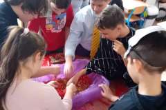 566621468_1517320419459394_4310304516736655159_n