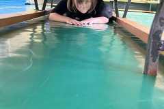 568717295_4255755784697453_5685470031066433855_n