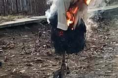 630056478_2131926500911400_8464314108090781640_n