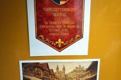 Messenger_creation_0B6BE5B8-A713-474F-8F1D-9D4E6CD9608E