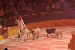 576004219_2073414303468304_2130968720227462627_n