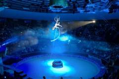 581932466_1761675471365294_958208492825268056_n