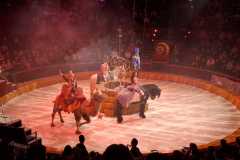 582221112_837306762036628_8547188438910550498_n